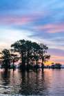 USA-Louisiana-Atchafalaya Basin-Atchafalaya Swamp Cypress trees reflect on at sunrise Art Print